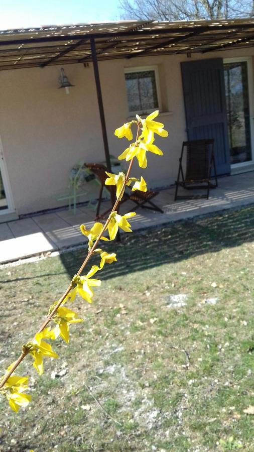 Le Marronnier Apartment Niozelles Luaran gambar